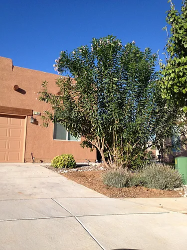 2107 Cortina Loop SE Photo 1