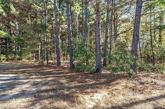 9360 County Road 3407 — Photo 26