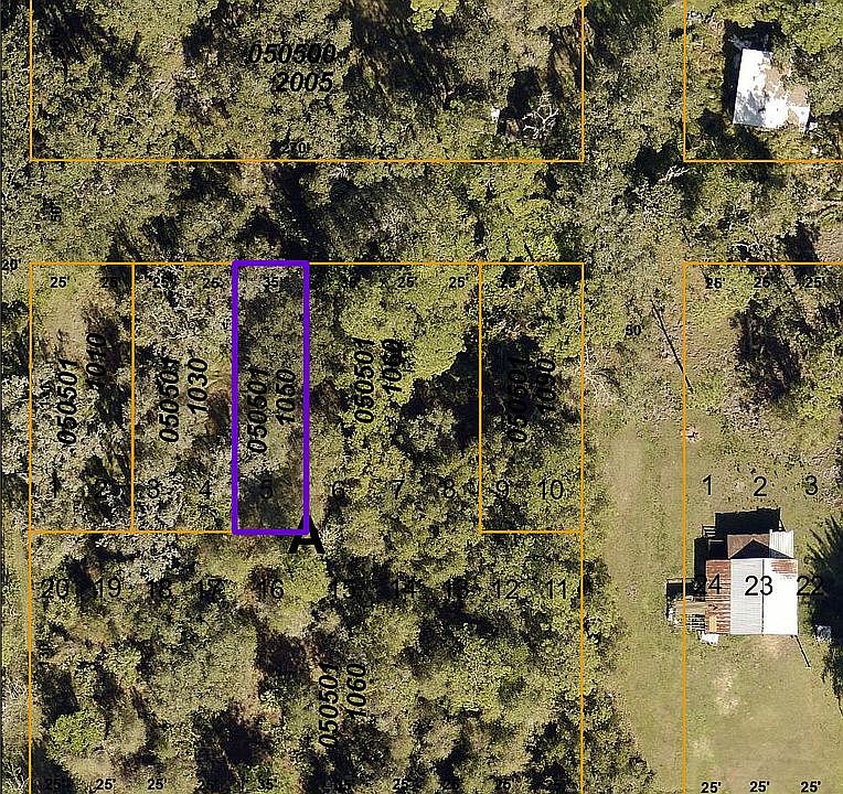 2nd image of Magnolia Rd