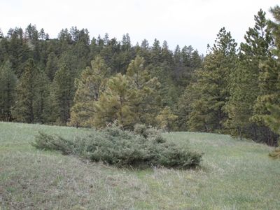 564A Countryman Creek Rd, Columbus, MT, 59019