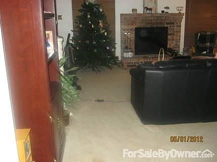 Fire Place, Christmas Tree, living room
