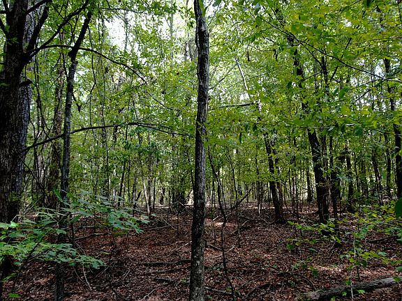 5th image of County Road 88