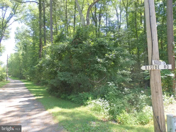 Flat Iron & Raggedy Ln, Great Mills, MD 20634