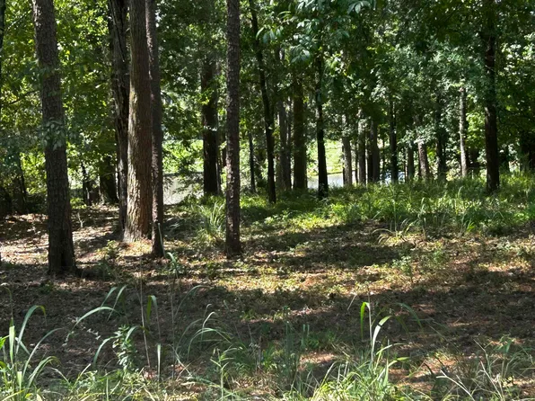 1191 Lakeview Ct #4, Greensboro, GA 30642