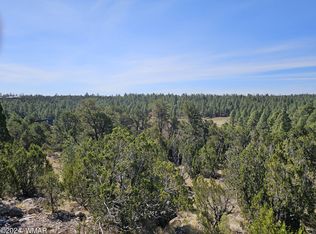 2955 E Lookout Ln, Overgaard, AZ 85933