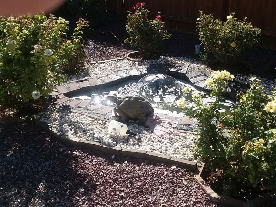 1st image of 15828 W Sandy St