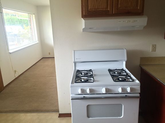 Gas Stove