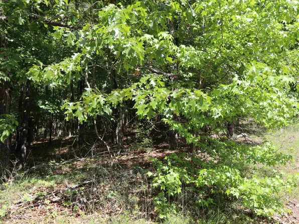 160 Tamoshantor Court Ct, Hot Springs National Park, AR 71913