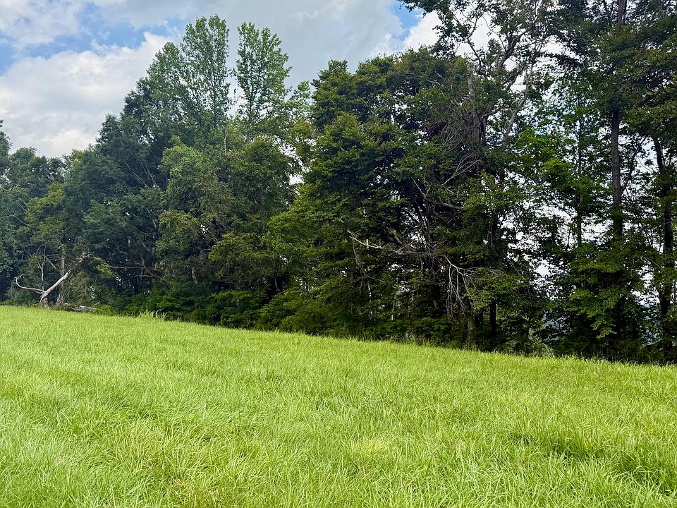 1st image of 73 Meadows Loop