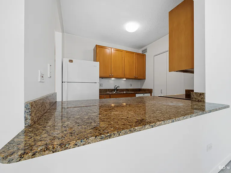 400 N Lasalle St #2506 — Photo 8