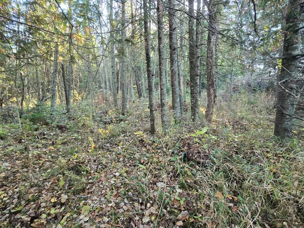 On Hwy #45, Birnamwood, WI 54414
