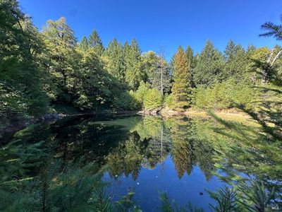 51901 Stivers Road, Laytonville, CA, 95454