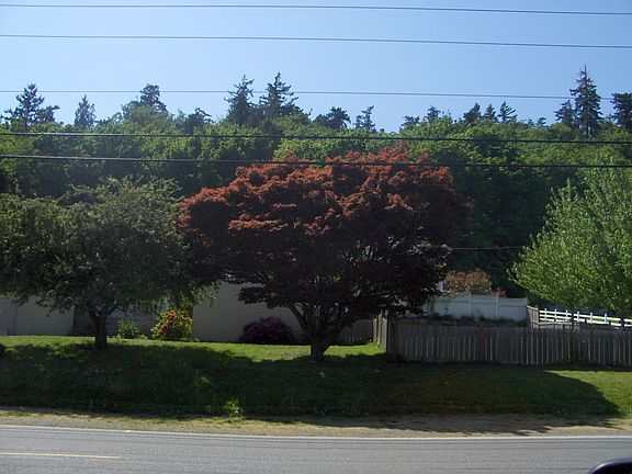 2nd image of 12115 93rd Ave NE