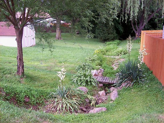 Creek area on opposite side of fence in back