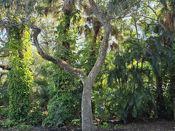 4th image of 265 Ibis Dr