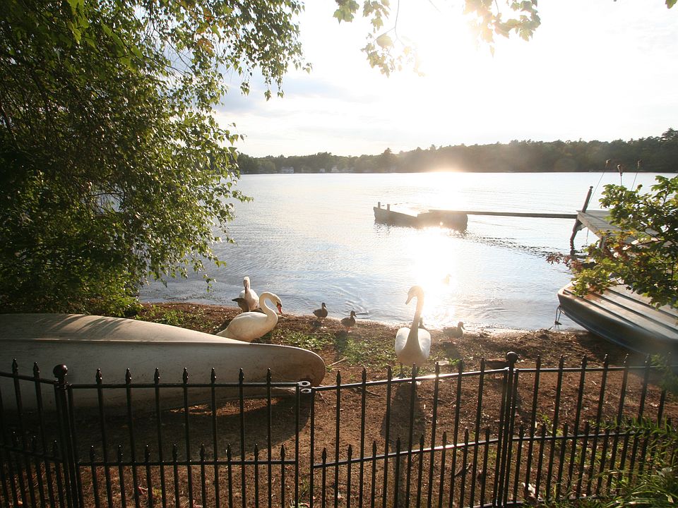 Beach with Swans