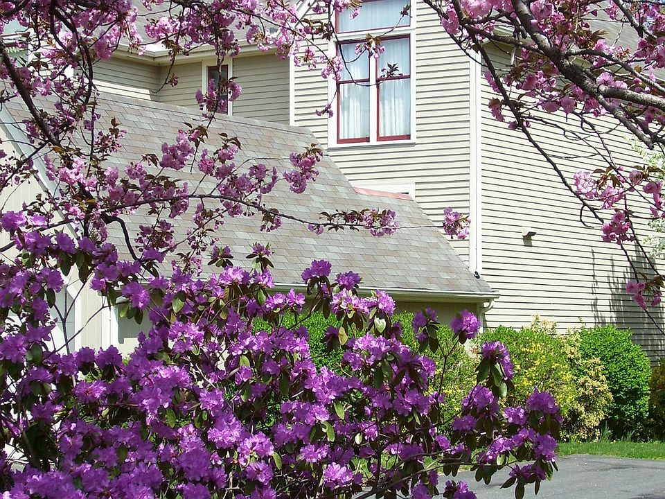 Springtime scene at Sylvan Ridge