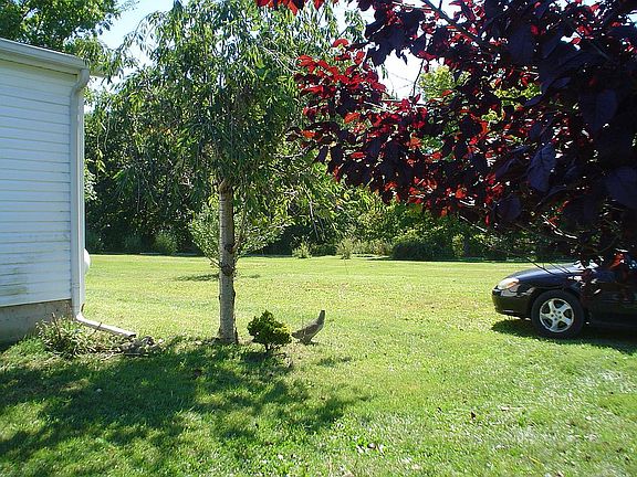 2nd image of 387 County Road 218