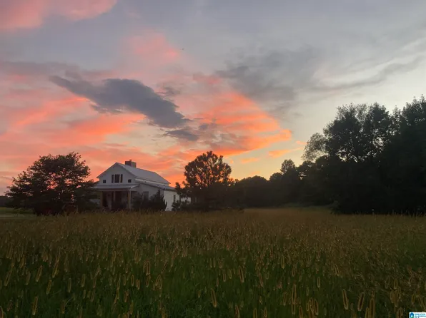 2362 Jones Chapel Rd, Springville, AL 35146