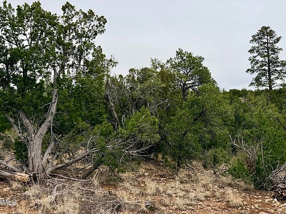 3rd image of 4918 SUNSET RIDGE Loop #199