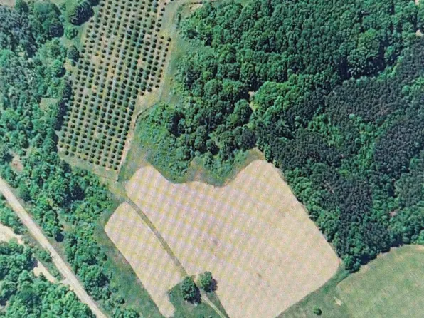 1330 Eden Hill Rd, Beulah, MI 49617