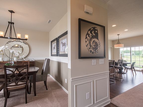 Model Representation