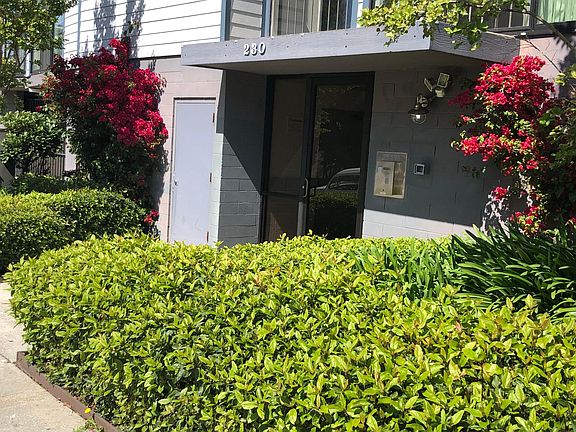 5th image of 230 Wayne Ave APT 205
