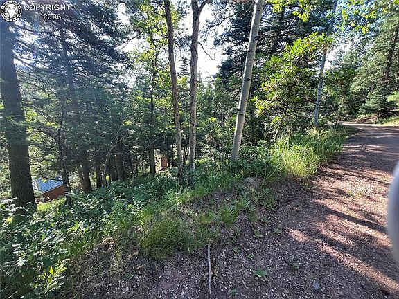 4th image of 7 Wonder Trl