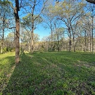 1st image of LOT 2 County Road 388