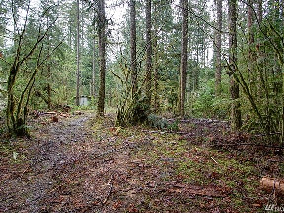 4th image of 7510 Glacier Springs Dr