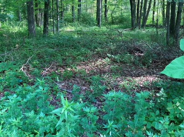 15 Adam Wagner Lane, Mahopac, NY 10541