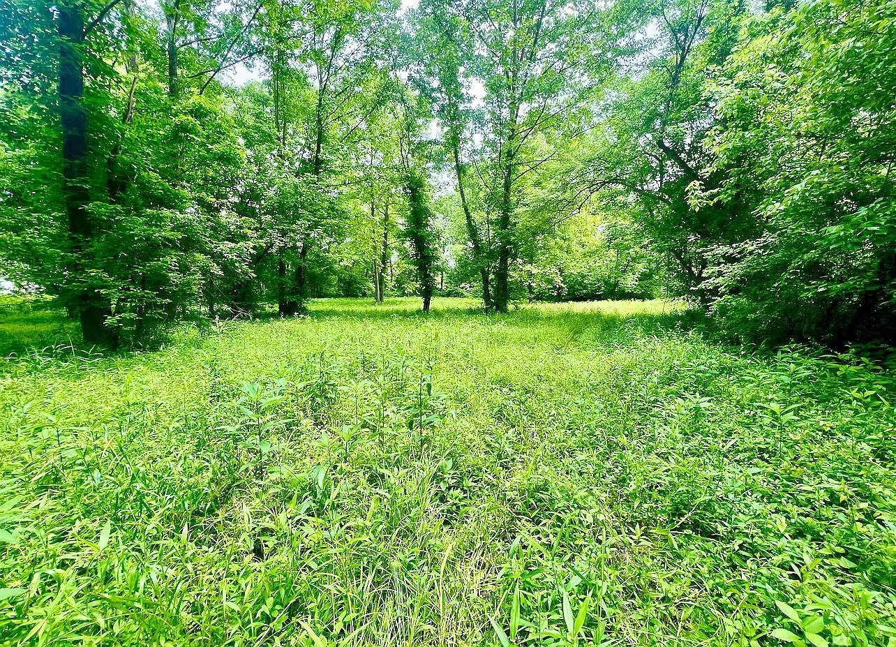 22250 State Highway 3 photo 1