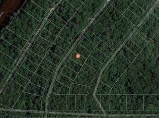LOT 9 Terrace, Live Oak, FL 32060