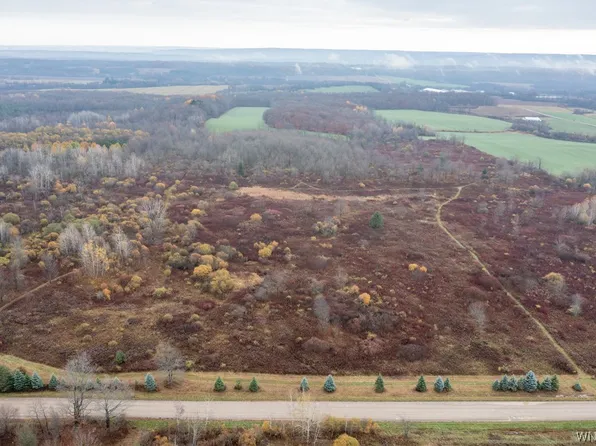 Newcomb Rd #31, Pike, NY 14130