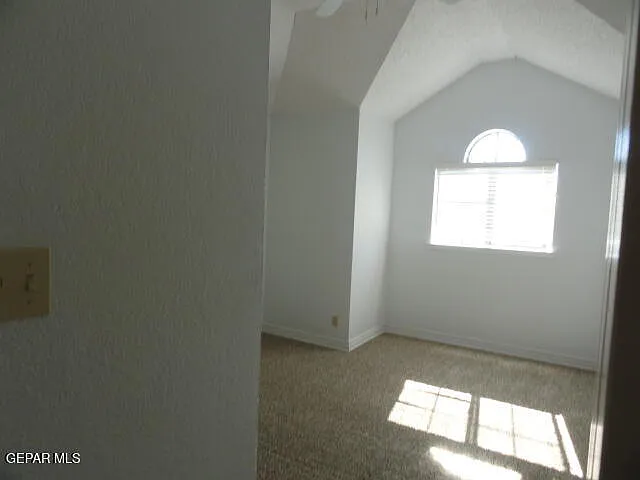 7733 Night Hawk Dr — Photo 10