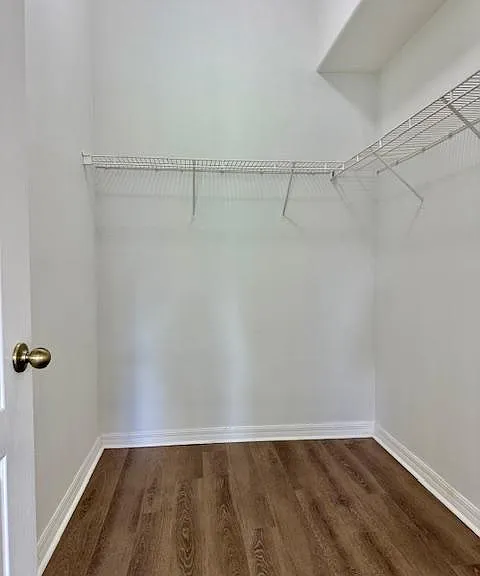 4035 Langdrum Dr — Photo 18