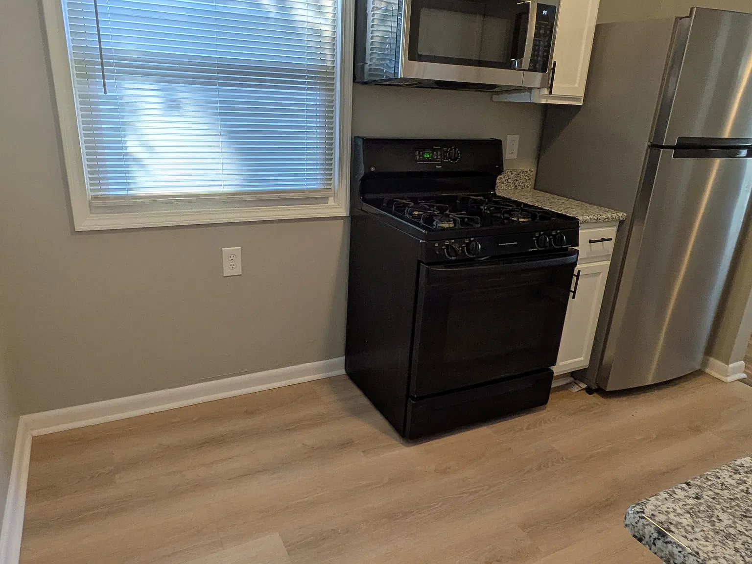 2 bed, 725 sqft, $1,250 — Photo 3
