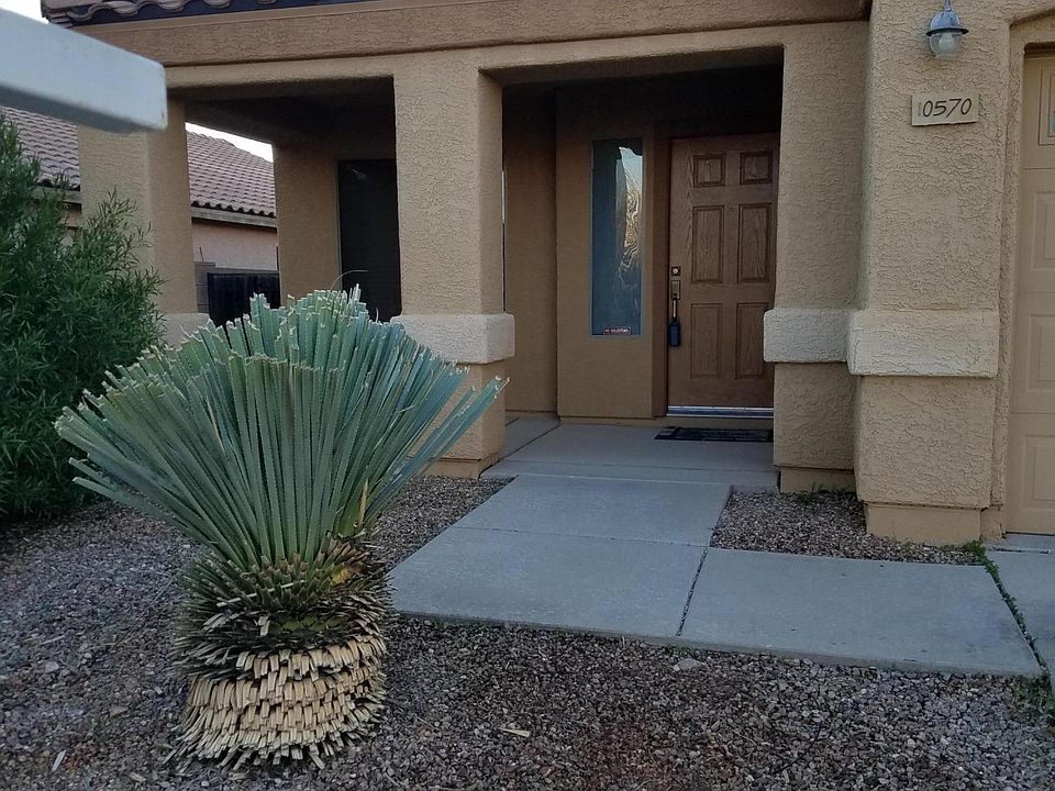 1st image of 10570 E Bonpland Willow Dr