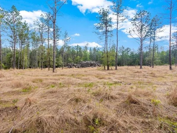 13 Gimnick Rd, Ragley, LA 70657