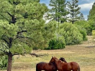 5 Bear Run, Chama, NM 87520