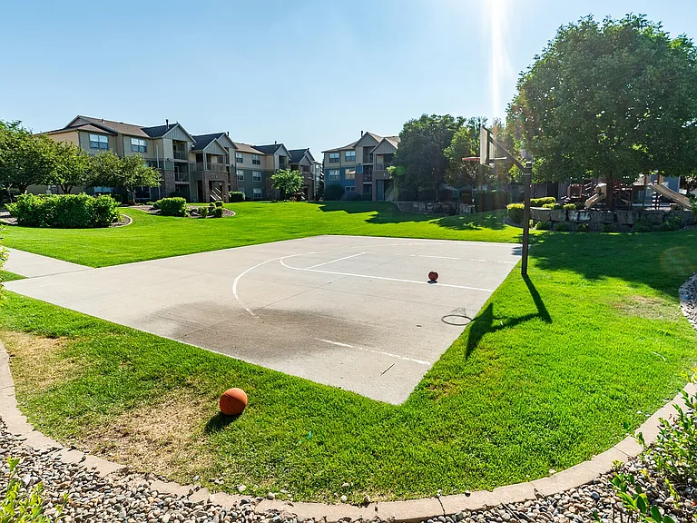 Basketball Court 3