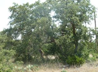 323 Dodder Ln, Spring Branch, TX 78070