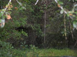 80 Thompson Rd, Hemingway, SC 29554