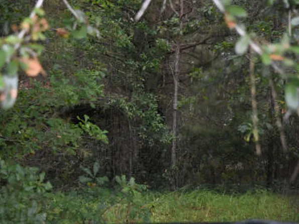 80 Thompson Rd, Hemingway, SC 29554