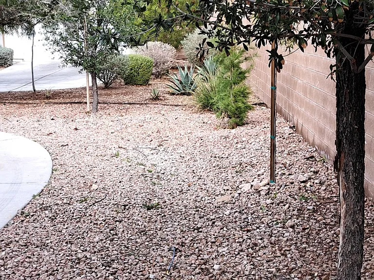 3011 Cantabria Ct — Photo 25