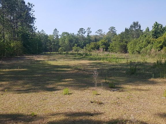 5th image of 13813 Highway 301 S