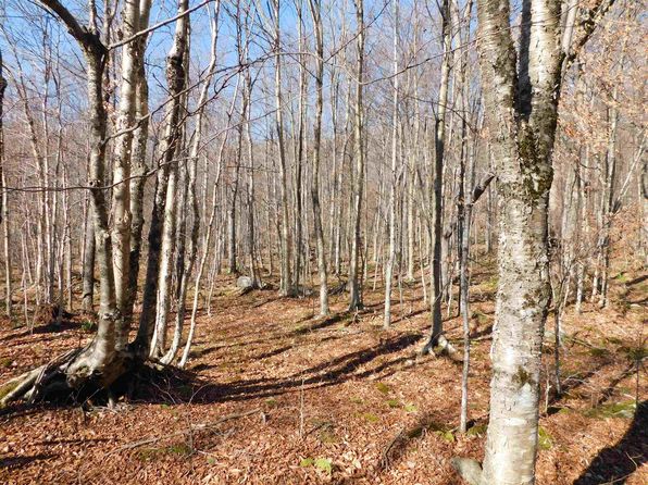 00 Highland Drive UNIT 3, Montgomery, VT 05471