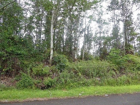 5th image of 14-562 Hapuu Dr #391