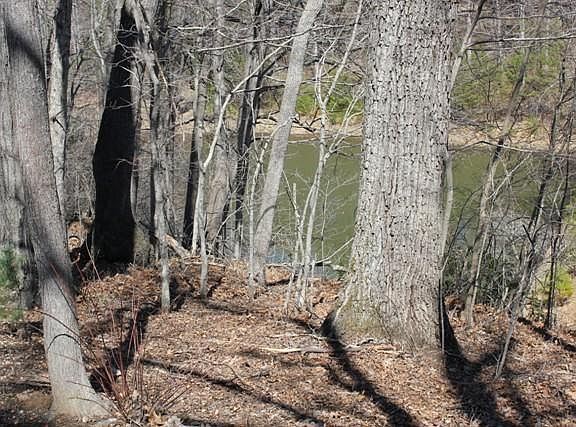2nd image of 559 Westwood Dr
