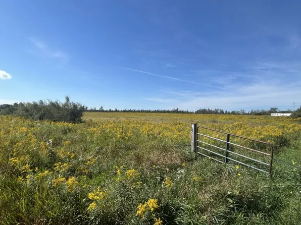 N Coville Rd, Lincoln, MI 48742